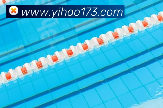 体育直播服务